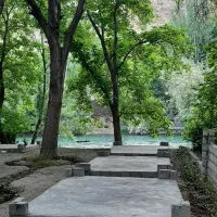 باغ کشاورزی گردو