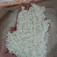 برنج هاشمی شفت گیلان