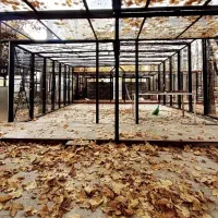 باشگاه فرهنگی ورزشی بدنسازی مشارکت