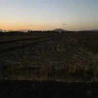 فروش هزار متر زمین واقع در روستای عاشقه(خمین)|فروش زمین و ملک کلنگی|خمین, |دیوار