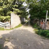 208 متر کاملا مسکونی با نامه بنیاد شفت نصیرمحله|فروش زمین و ملک کلنگی|شفت, |دیوار