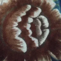 آلا انجام میدم کاربلدو واردبه کار