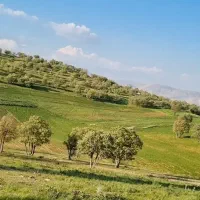 ویلا اجاره ای بی نظیر با تمام امکانات سپیدان