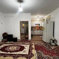 به قیمت زمین باغی /ویلای ساحلی بخر