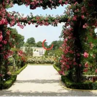 باغ هما شهر