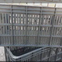 تعداد سبد نو برایه (آلو گوجه سبزی)۹۰عدد موجوده