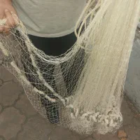 تور ماهیگیری