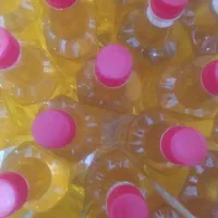 روغن آفتابگردان