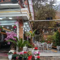 ظرفشور و کمک گارسون نیازمندیم