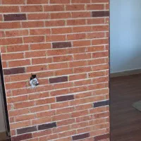 نمایندگی فروش اجر صدف