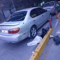 ماکسیما عروسک اتومات در حد