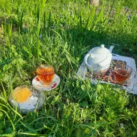 ویلا-و-باغ-با-درختان-گردو-بادوم-بارده