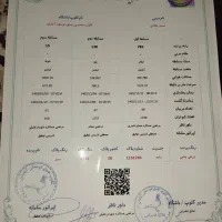 جفت پلاکی 1000 نشسته