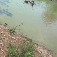غازواردک
