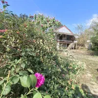 ویلای سنتی تلاری نقلی