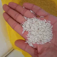برنج سالم هاشمی و کاظمی ولاشه نیمدانه|خوردنی و آشامیدنی|محمدیه-قزوین, |دیوار