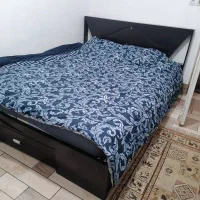 باغ دکتر حسابی|اجارهٔ کوتاه‌مدت ویلا و باغ|شیراز, دکتر حسابی|دیوار