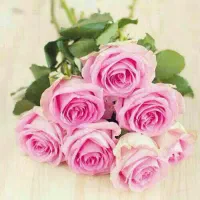 کسی هست بیاد مشورت