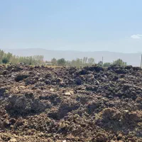 کود حیوانی یانمش پین بر گاوداری