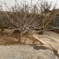 خانه ویلایی