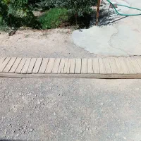 تخته چوب بست بنایی