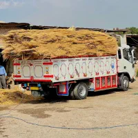 جاروی شهرداری ( رفتگری ، فراشی ، سوفوری )