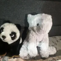 دوتا عروسک سالم هردو با هم ۵۵۰|اسباب‌بازی بچه|اصفهان, سپاهان‌شهر|دیوار