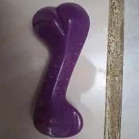 وسایل مهم سگ