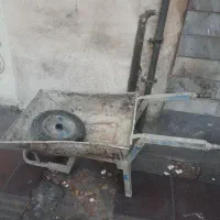 فرغون