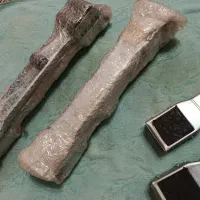 ریل زیر یخچالی . ریل زیر ماشین لباسشویی|یخچال و فریزر|ری, سیزده آبان|دیوار