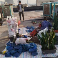 خدمات باغبانی وگل آپارتمانی درمنزل وشرکت