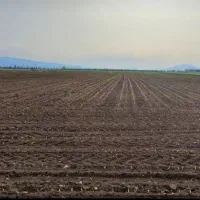 زمین-کشاورزی