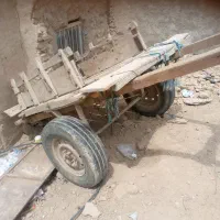 مزرعه|حیوانات مزرعه|سیب و سوران, |دیوار