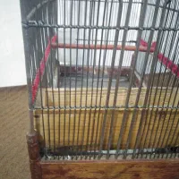 قفس سهره دست ساز