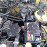 بوق کاپریسی(کتابی)|قطعات یدکی و لوازم جانبی|شیراز, باغ تخت|دیوار