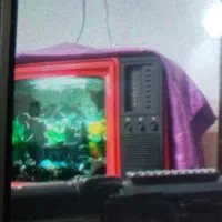 آکواریوم فانتزی