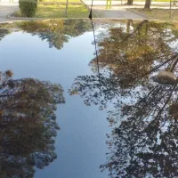 فروش تیبا ۲ مدل ۹۹|خودرو سواری و وانت|فولادشهر, ورزشگاه فولادشهر|دیوار