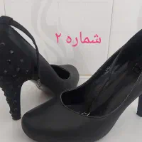 کفش سایز ۴۰ زنانه|کیف، کفش، کمربند|زنجان, |دیوار