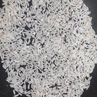 فروش با کیفیت ترین برنج طارم هاشمی