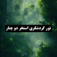 تور گردشگری استخر دو چنار