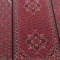 فرش کناره دستبافت|فرش|زنجان, |دیوار