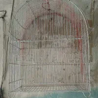 فروش قفس پرنده