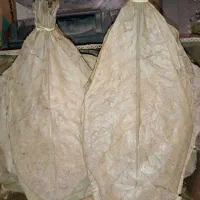 کاتاپا غذا ماهی بیومار دکپسوله گاماروس سیست آرتمیا