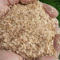 گندم بذری پیشگام سبوس گندم و تفاله پرک  گندم دامی|خدمات باغبانی و درختکاری|تربت جام, معدآباد|دیوار