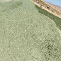 فروش یونجه