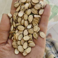 تخمه هندوانه درجه یک
