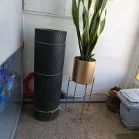 باغ۳هزارمتری