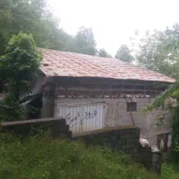 دامداری فوری فوری|فروش دفتر صنعتی، کشاورزی، تجاری|کلاچای, |دیوار