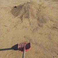 کود گاوی وگوسفندی|خدمات باغبانی و درختکاری|نکا, |دیوار