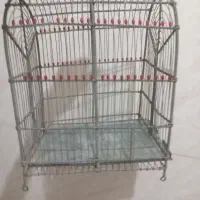 قفس سره قیمت توافقی